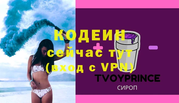 гашик Осташков