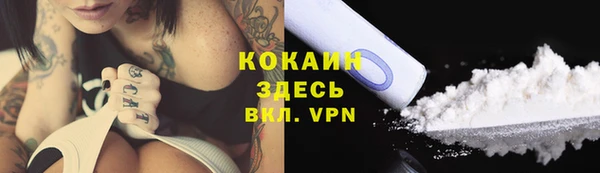 spice Осинники