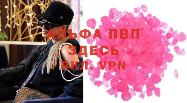 гашик Осташков