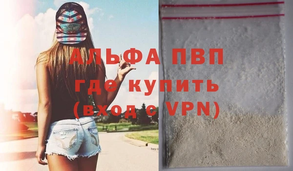 гашик Осташков