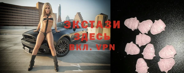 гашик Осташков