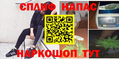 СК Бийск