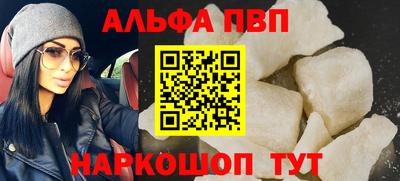 СК Бийск