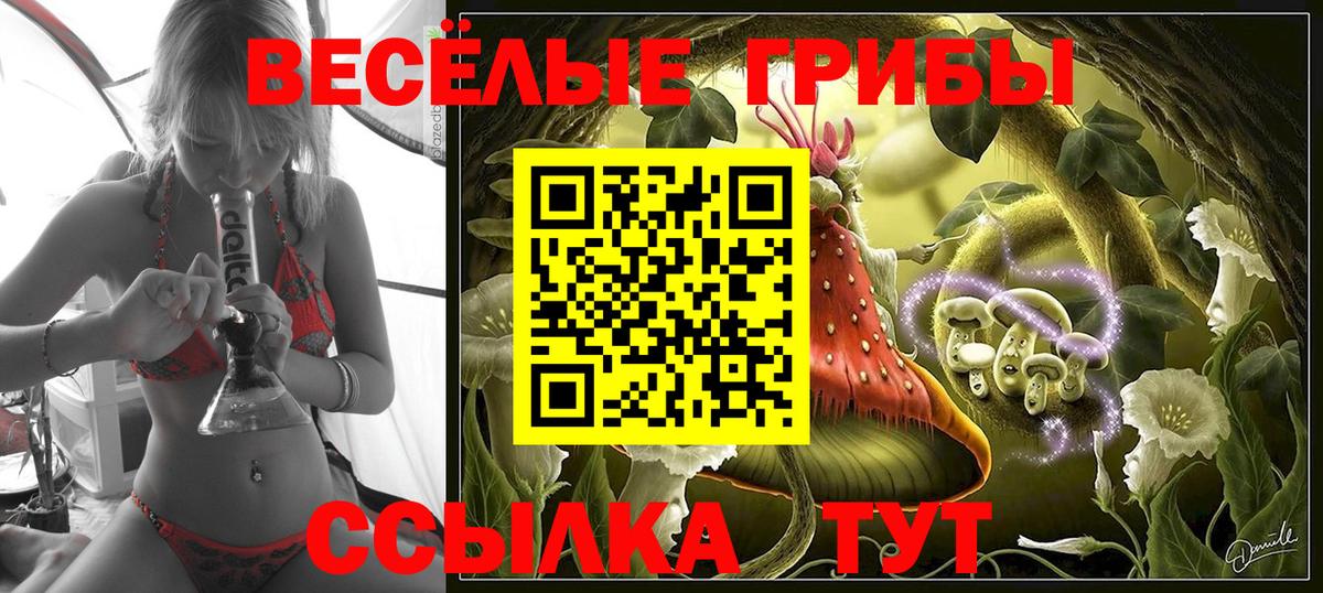 Лыткарино  Псилоцибиновые грибы Cubensis  Псилоцибиновые грибы Psilocybine cubensis  Вход с VPN 