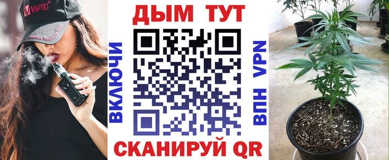 где купить наркоту  Лыткарино  Марихуана сатива 